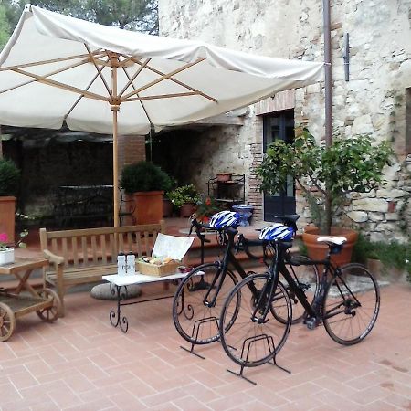 Podere San Quirico Castelnuovo Berardenga Exterior foto