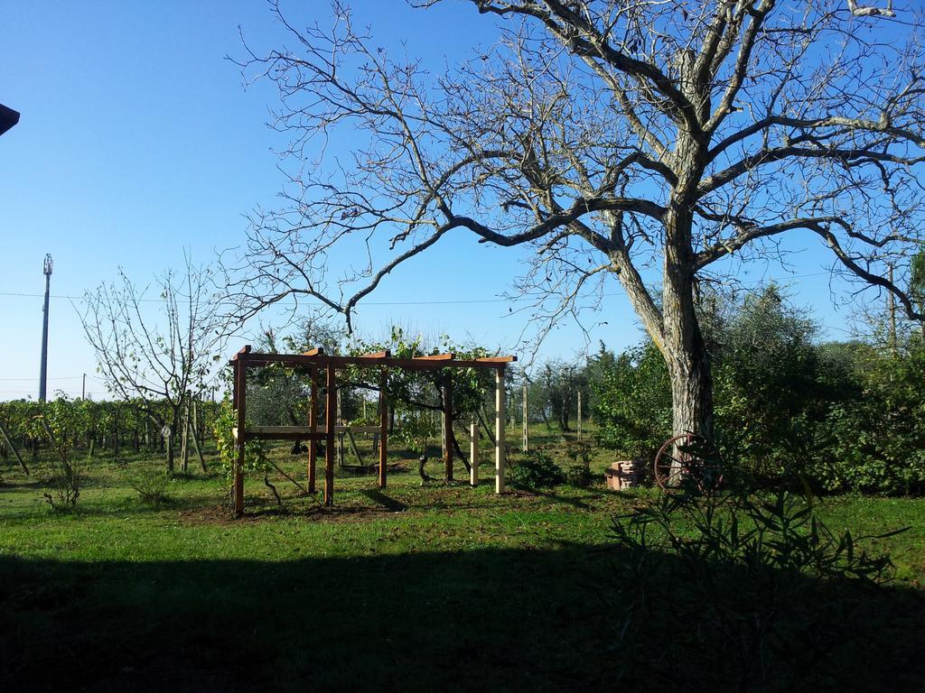 Podere San Quirico Castelnuovo Berardenga Exterior foto